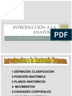 Introducción A La Anatomía Parte 1