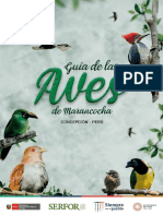 Aves de Marancocha