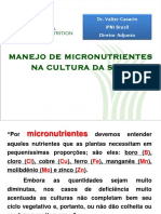 Palestra Valter Casarin - Micronutrientes PDF