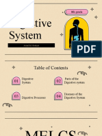 Digestive System Slide