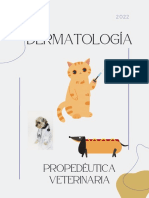 Dermatologia PDF