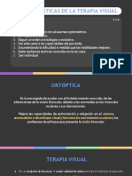 Terapia Visual PDF