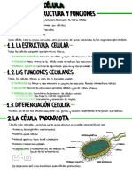 Tema 1 PDF