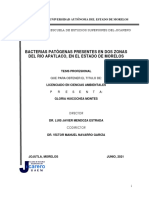 Art-Bacterias Patogenas Agua PDF