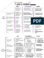 PARES CRANEALES Esquema PDF