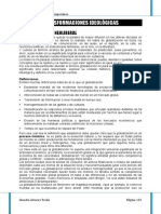 Paradigma Ideologico PDF