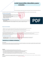 Mesencéfalo, Diencéfalo y Pares Craneales PDF