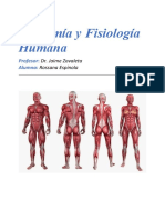 Anatomía