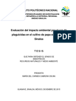 Tesis María Del Carmen Cabrera Osuna PDF