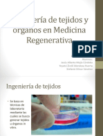 Ingenieraentejidosyrganosppt 151026234341 Lva1 App6892