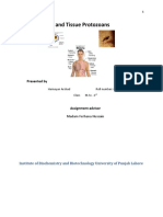 Blood and Tissue Protozoans