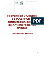 Lineamiento Técnico PCI y PROA 