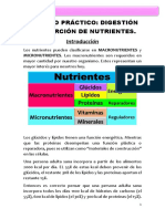 TRABAJO PRÁCTICO de Digestión y Absorción de Nutrientes