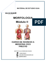 Modulo de Morfologia II