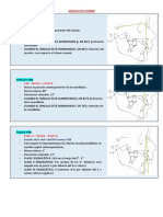 Teoria 11