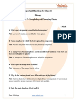 CBSE Class 11 Biology Chapter 5 - Morphology of Flowering Plants Important Questions 2022-23