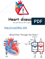 Cardio, Snle Ksa