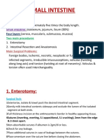 Gastrointestinal System 3