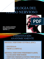 Histologia Tejido Nervioso Examen