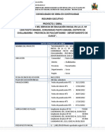 Resumen Ejecutivo Pasto Grande 100 Días - v2