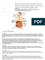 Hoja Instructiva Sobre Sistema Digestivo