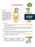 04 04 CYT Sistema Endocrino