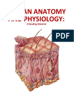 4 - Integumentary System