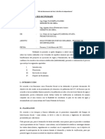 Informe Nuevos 2