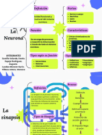 Organizador Grafico La Neurona