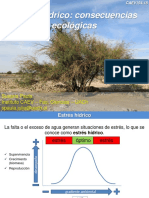 CAEV154 2023 Clase09 Estres Hidrico