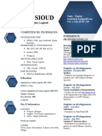 Zied SIOUD CV