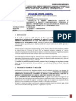 16.informe de Impacto Ambiental. - Construccion Gerencia Registro Civil-Ica