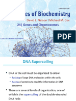 Lehninger PPT Ch24