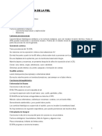 3.10-Fisiopatología de La Piel