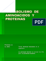 Metabolismo de Aminoacidos y Proteinas