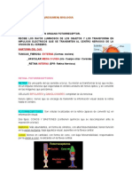 Segundo Parcial