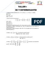 1 Taller Matrices y Determinantes