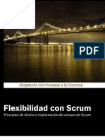 Flexibilidad Con Scrum