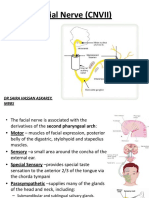 Lect11-Facial Nerve (CNVII)