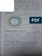 Cardiac Cycle