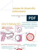 Primera Semana de Desarrollo Embrionario