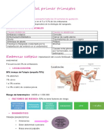 Hemorragias Del Primer Trimestre