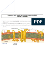 2 Mosaicofluido