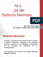 Anatomía y Fisiologia Del Sistema Nervioso I