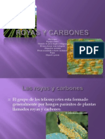 Royas y Carbones 4