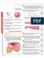 8 Libro de Biologia Volumen 1 4-74-75