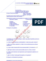 Biologia Selectividad Examen 2 Resuelto Castilla La Mancha WWW - Siglo21x.blogspot