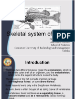 Session 14 Skeletal System