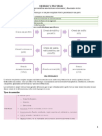 Resumen - Ortesis Plantares