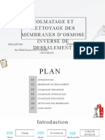 Colmatage Et Nettoyage Des Membranes D'osmose Inverse de Dessalement